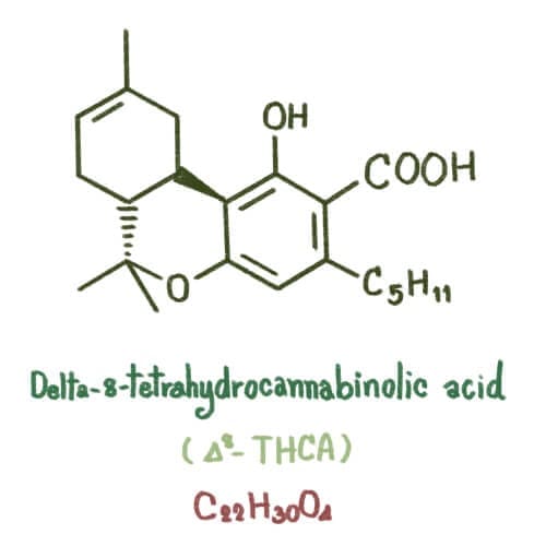 A Quick Insight into Delta 8 THC First | Friendly Hemp
