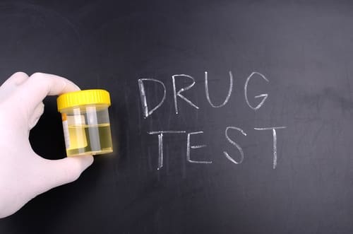 Does Live Resin Impact Your Drug Testing Results?