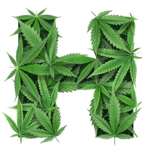 Know about THC-H