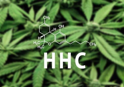 Time to Learn the Basics on HHC - Friendly Hemp