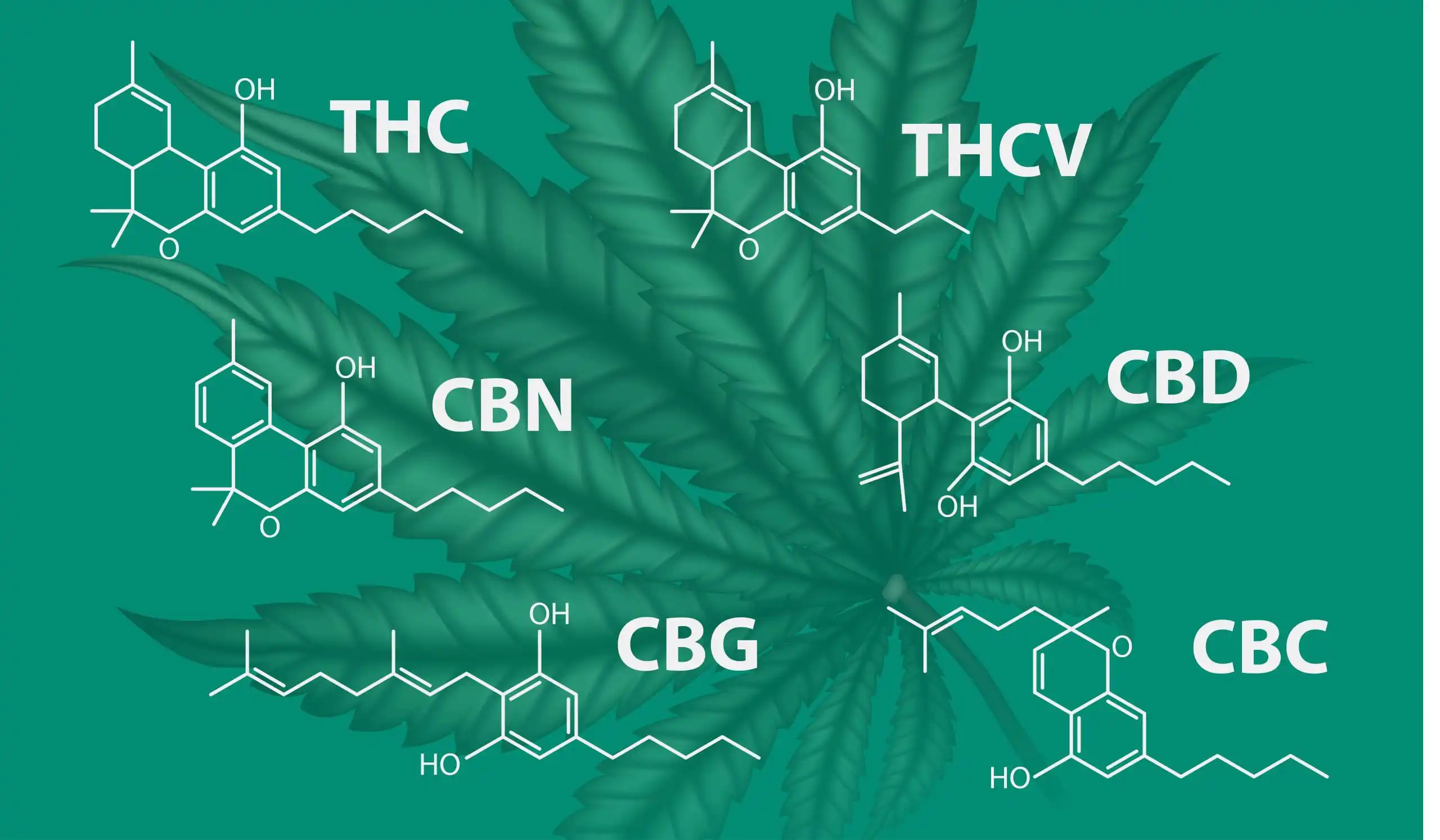Cannabinoids and Strains - Friendly Hemp