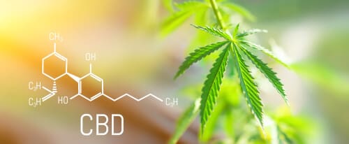 What Exactly is CBD - Friendly Hemp