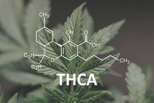 The Science Behind THCA | Friendly Hemp