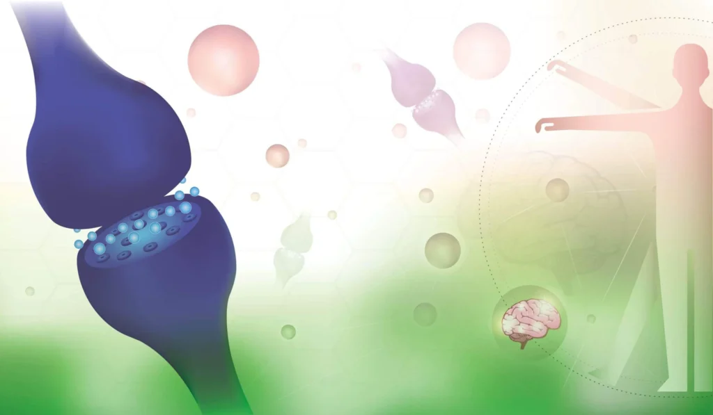 Delta 8, Delta 8 THC, System