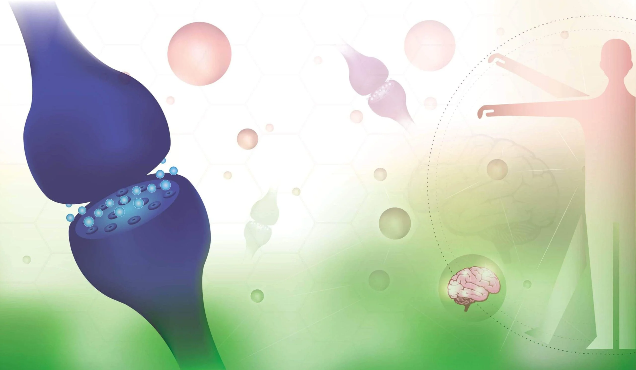 Delta 8, Delta 8 THC, System