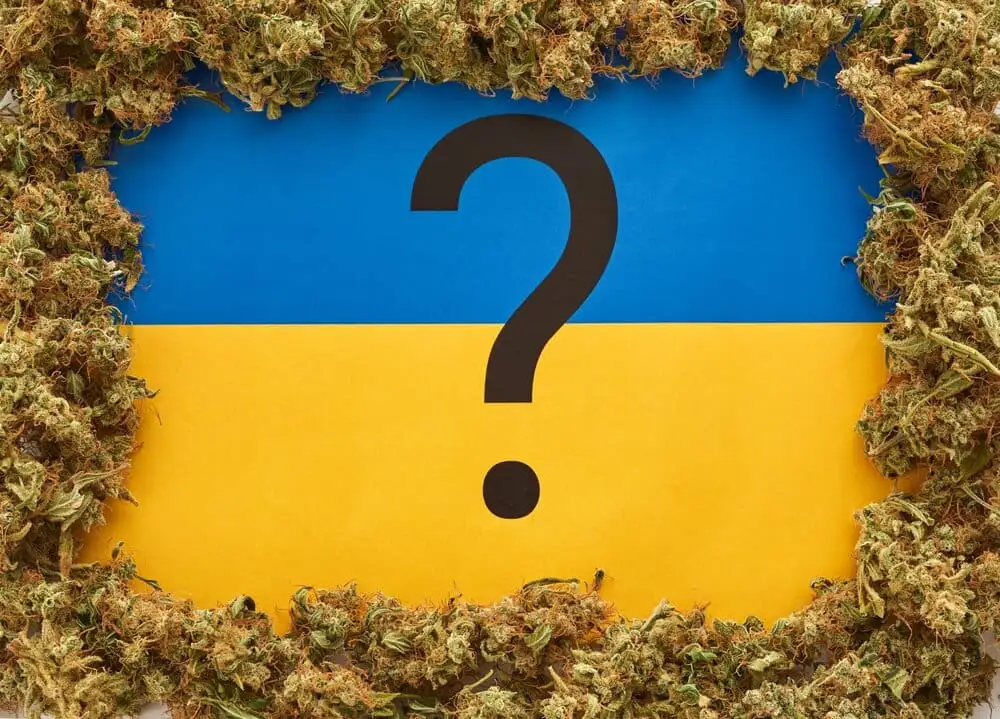 THCA, Delta 9 THC, Delta 9