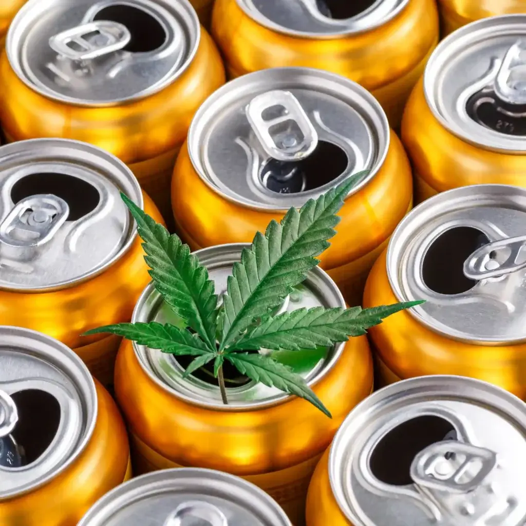 THC Drinks vs Edibles