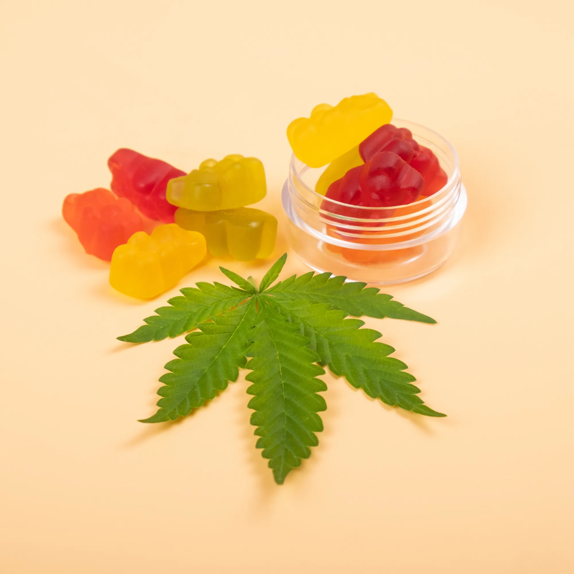 CBD vs THC Gummies