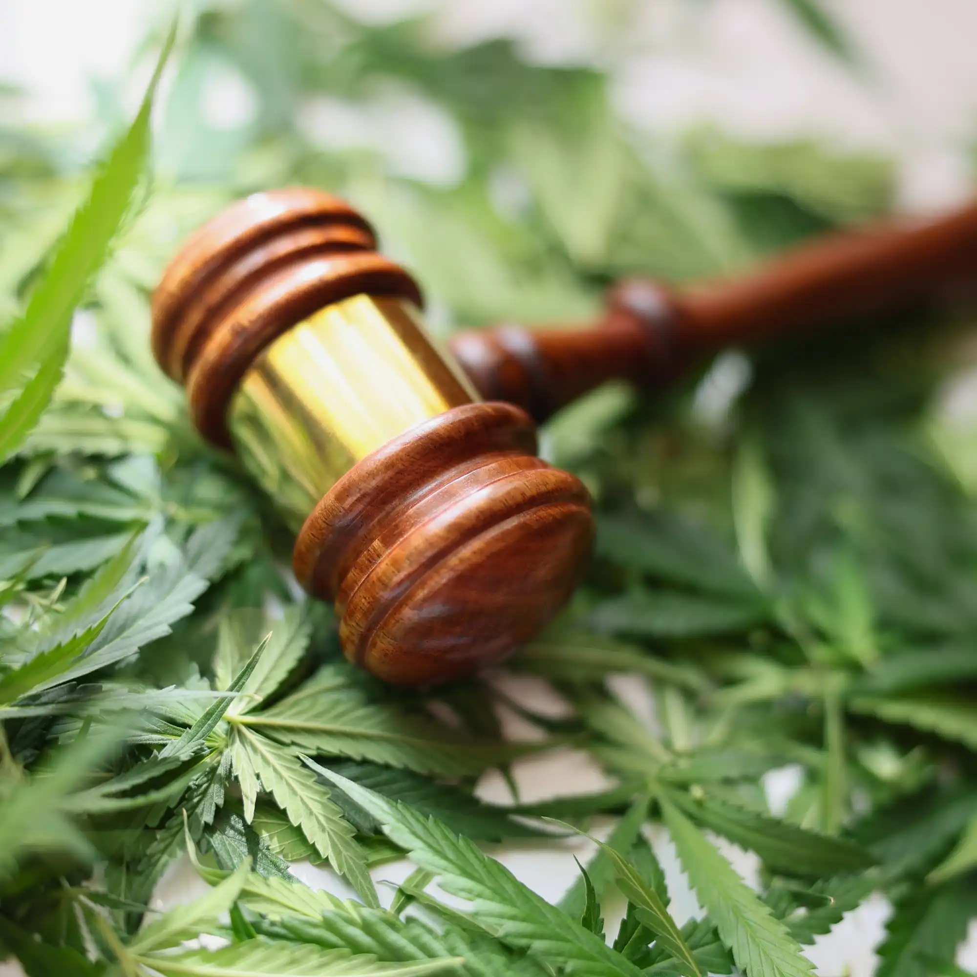 is delta 9 legal in indiana