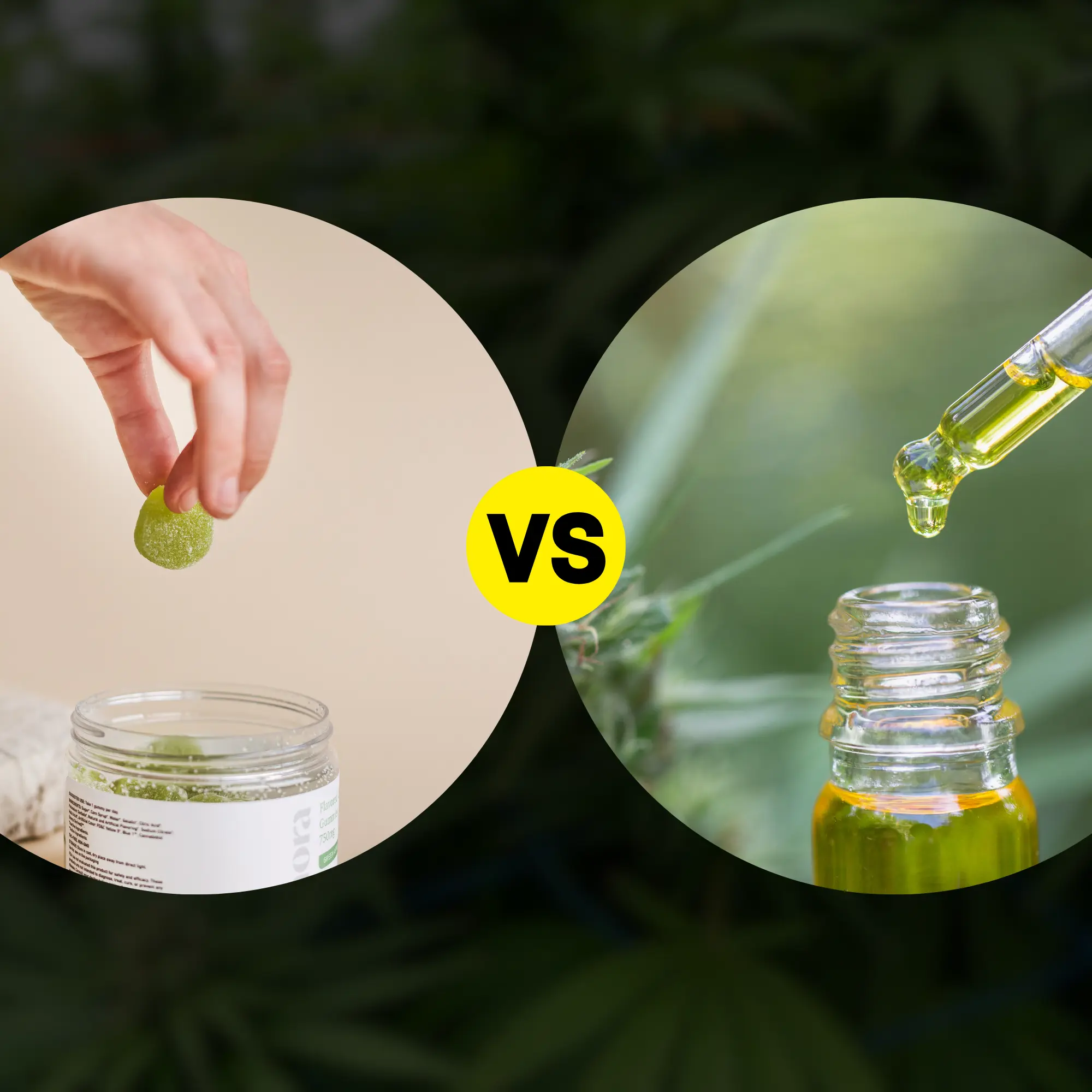 CBD Gummies vs. CBD Oil