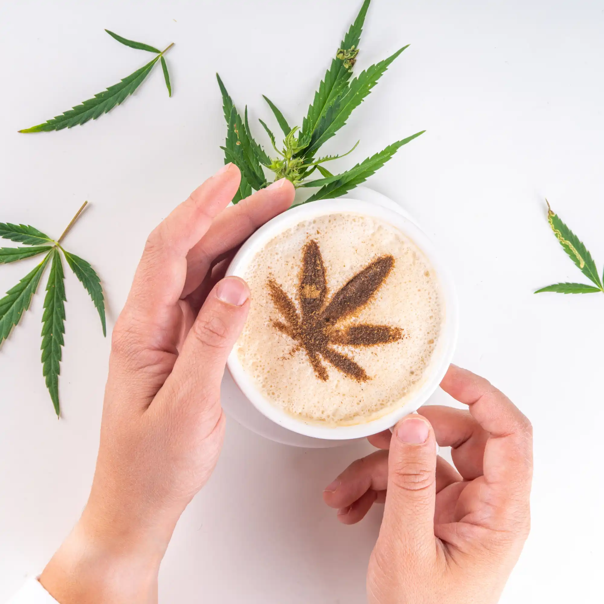 CBD Coffee Drinks