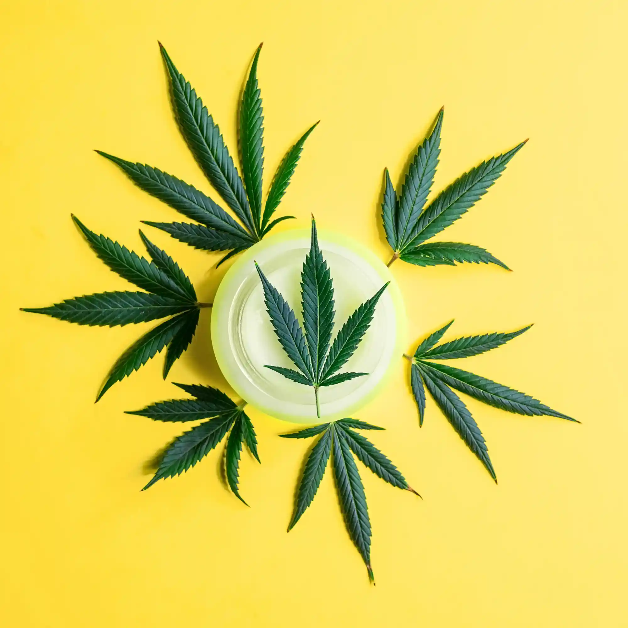 How to Use CBD Lotion