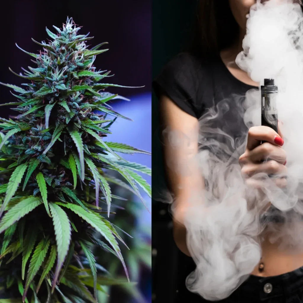 Dose for THC Edibles and THC Vapes