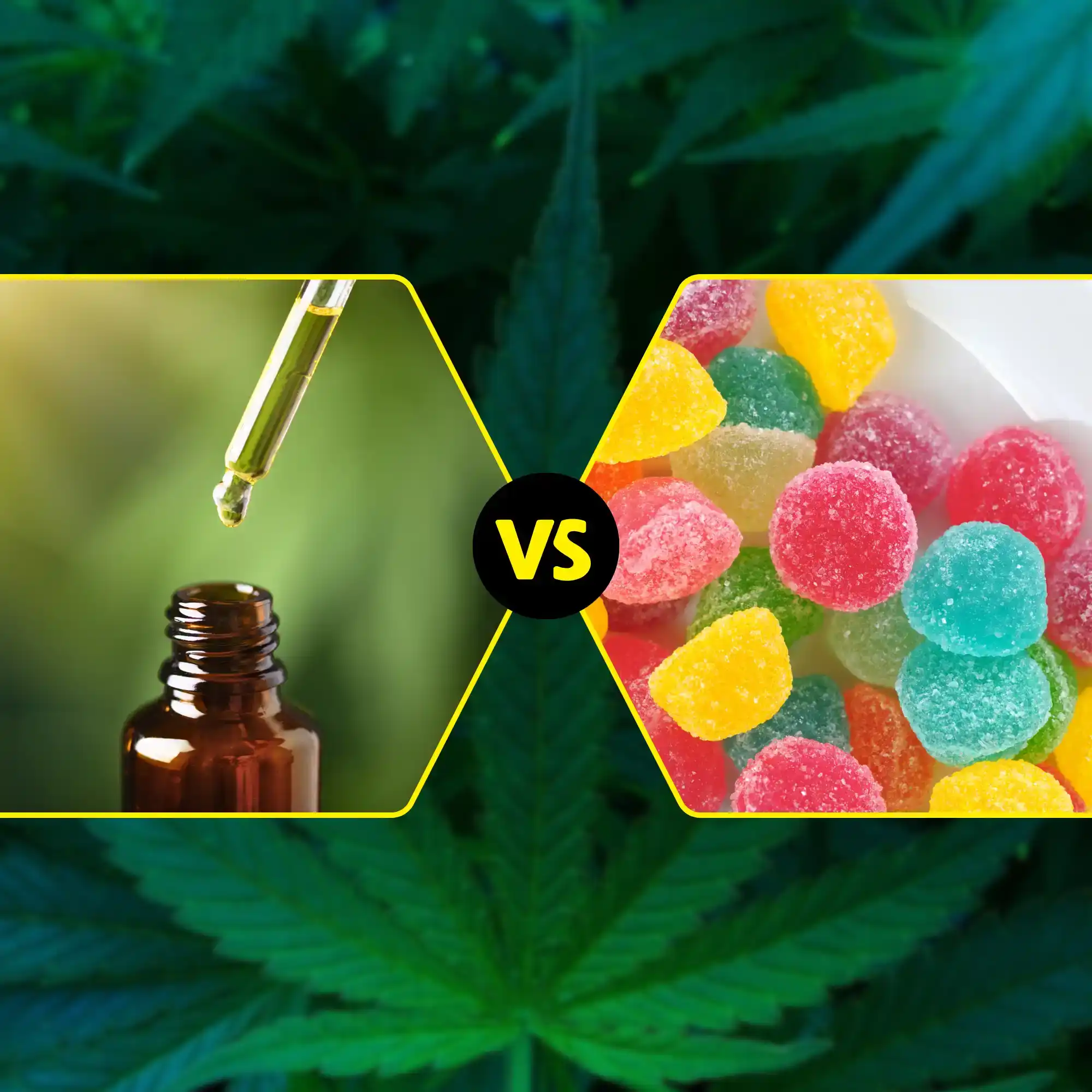 CBD Tincture Vs. Gummies