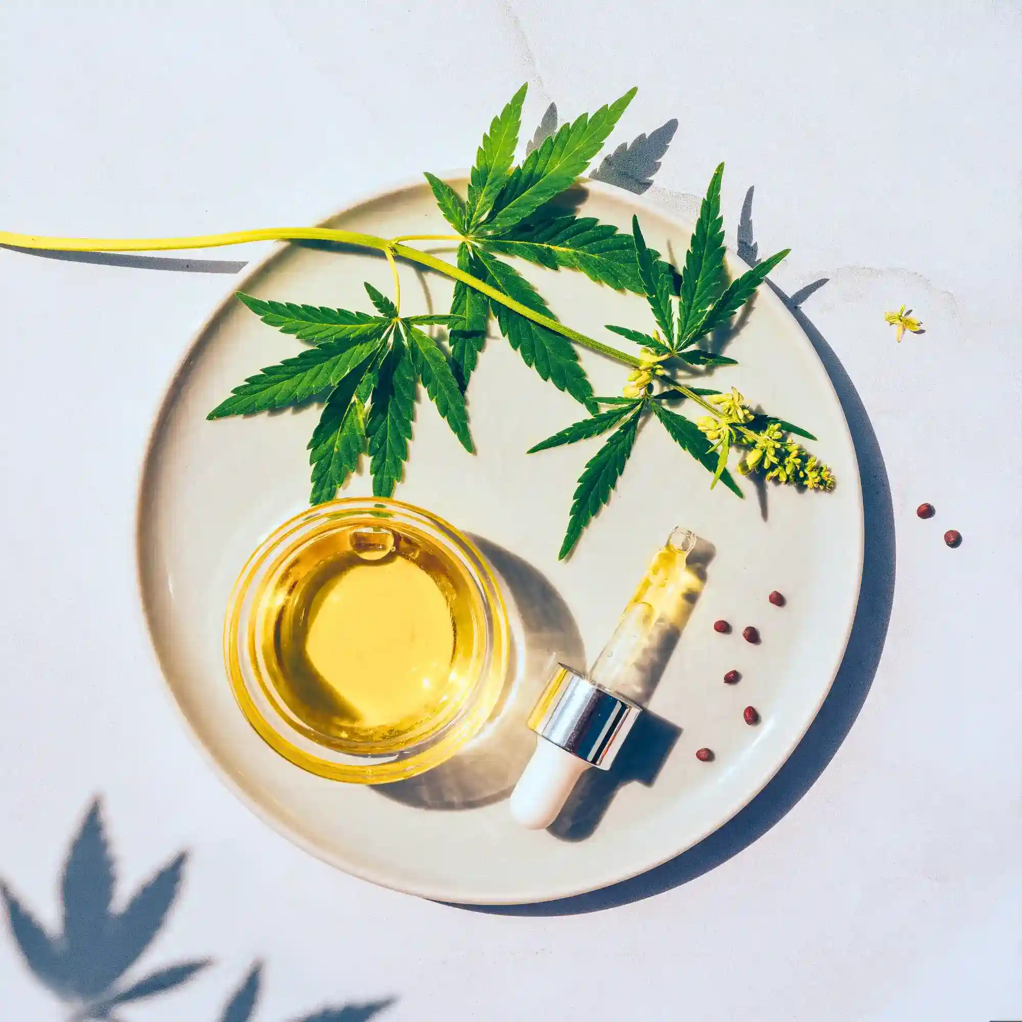 What Is Broad Spectrum CBD