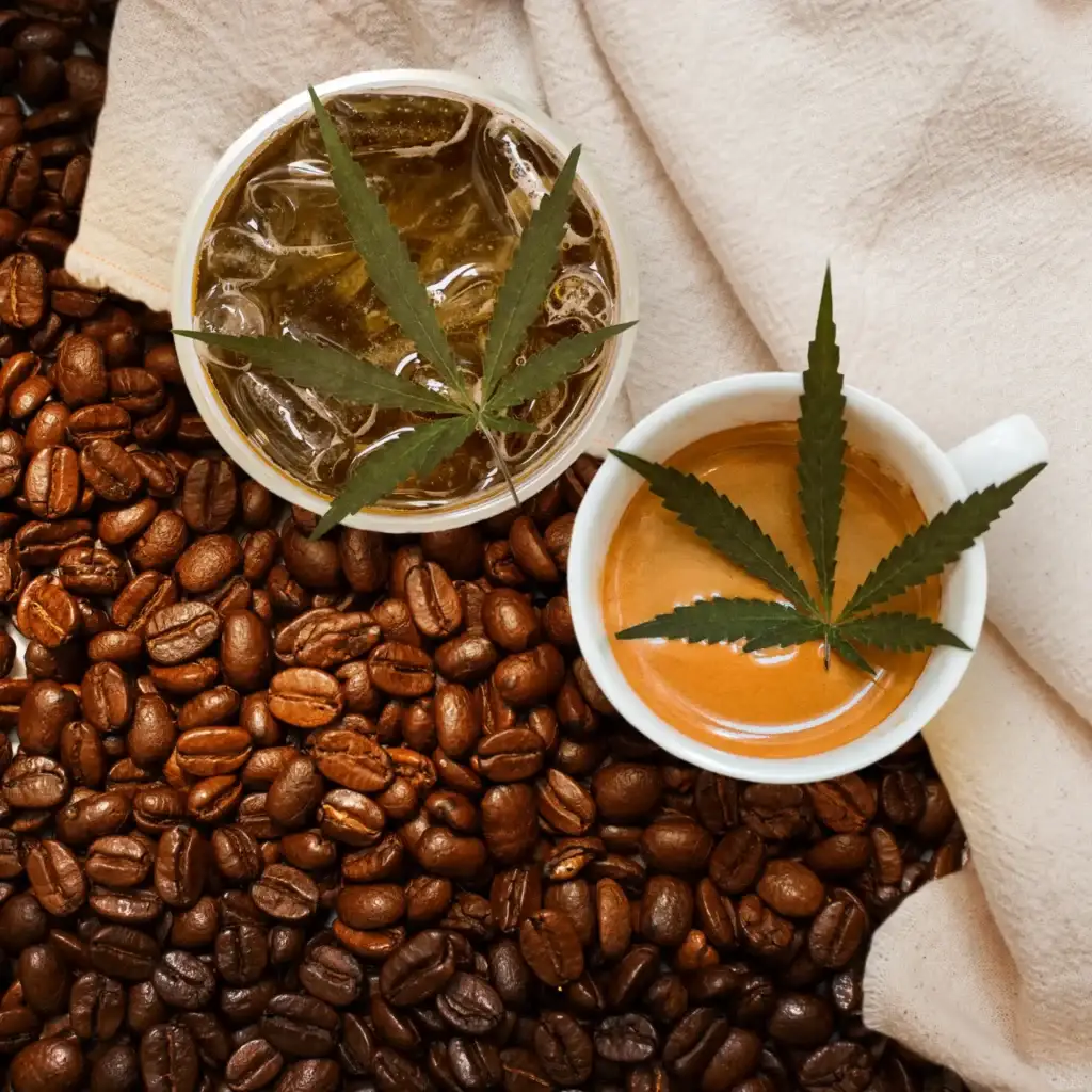 Friendly Cannabis and Coffee