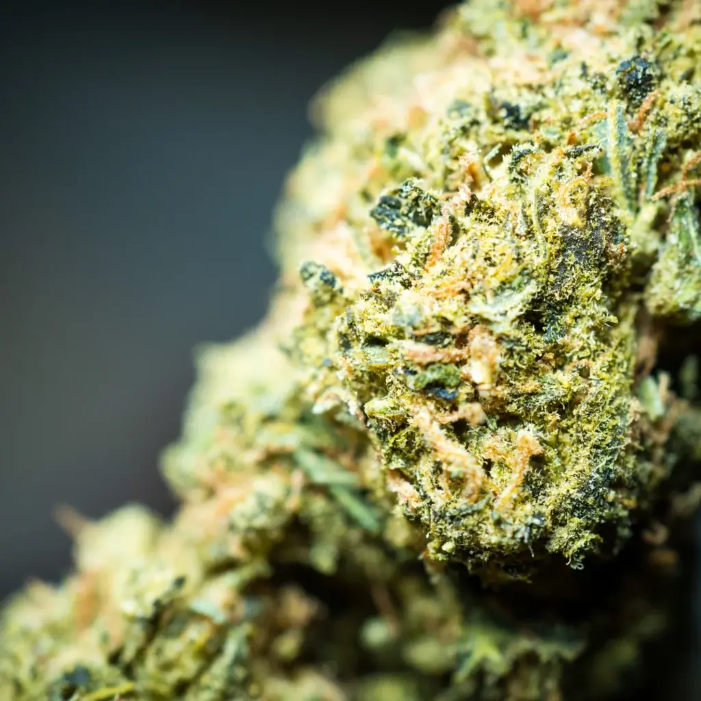 How to Microdose THC for Focus