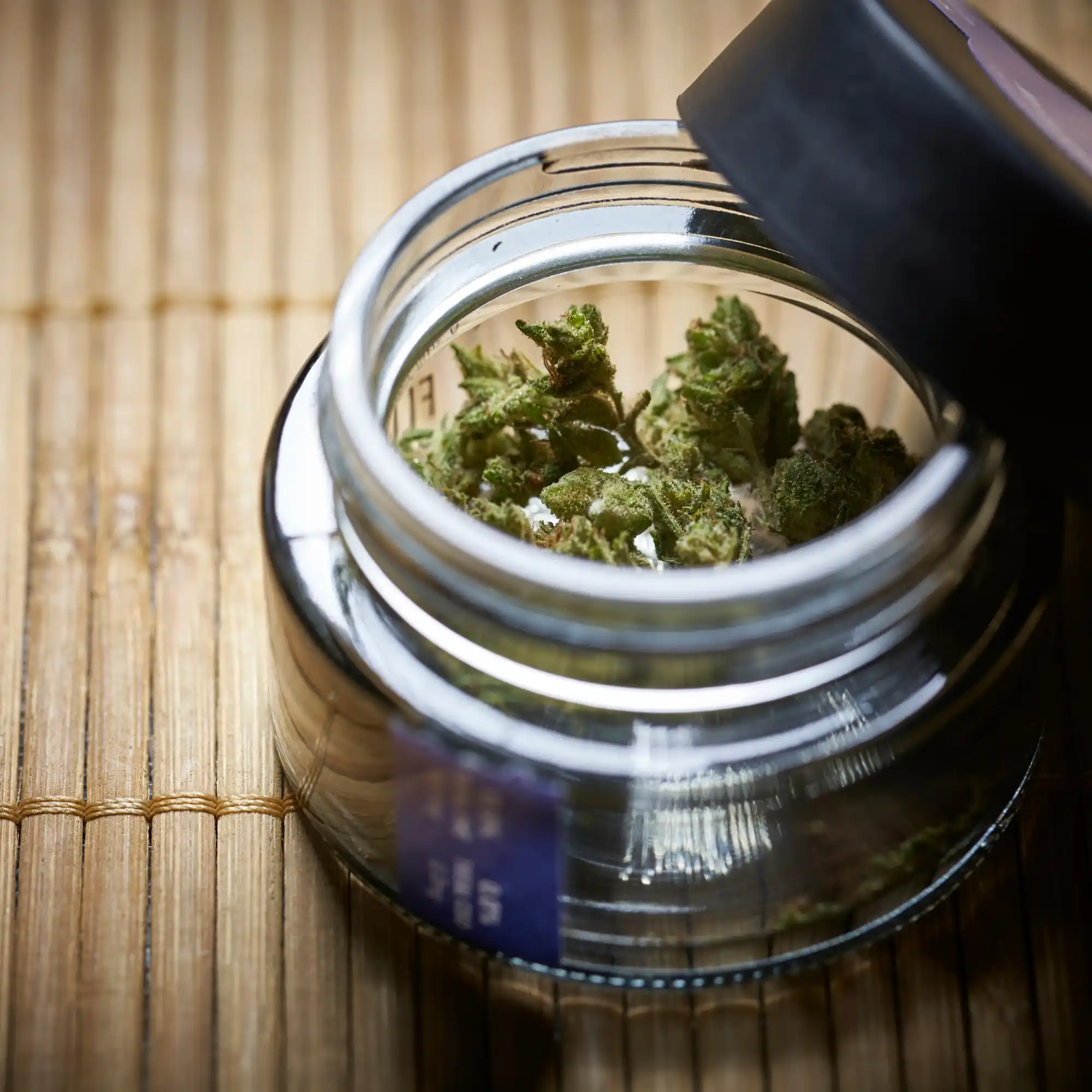 Delta 8 and Delta 9 Potency