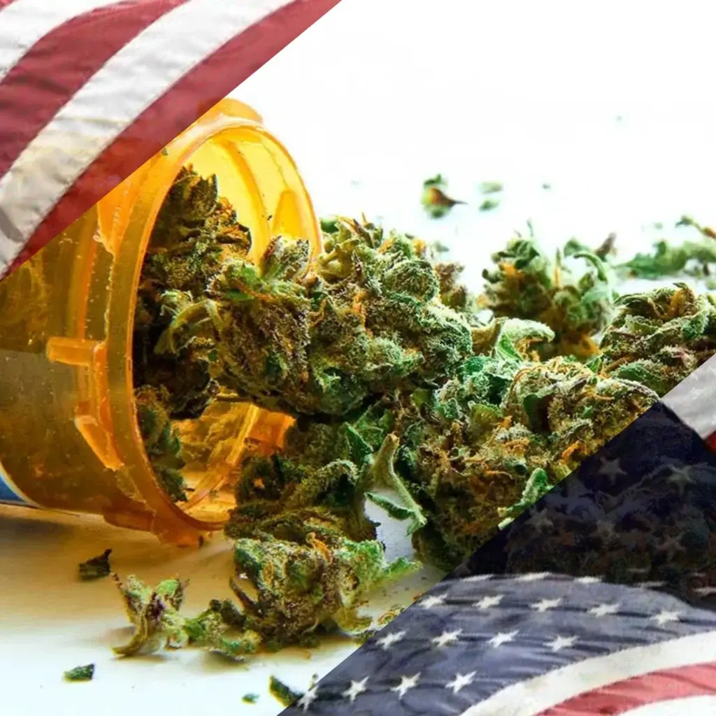 Delta-8 vs Delta-9 Legality