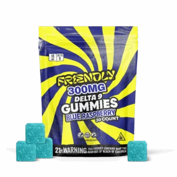 Friendly Hemp's Delta 9 300MG Gummy 30 count bag in Blue Raspberry