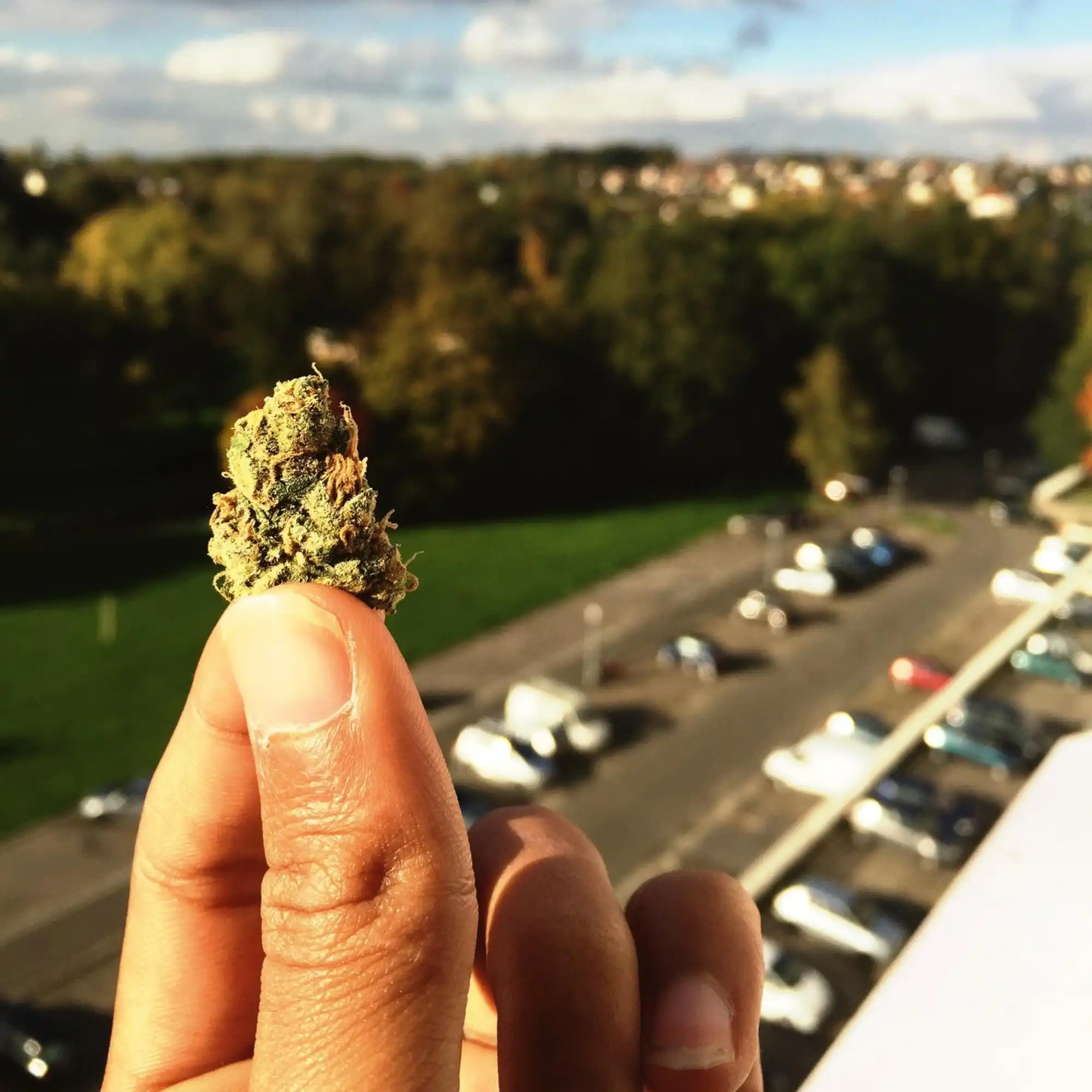 can you travel with Delta-9