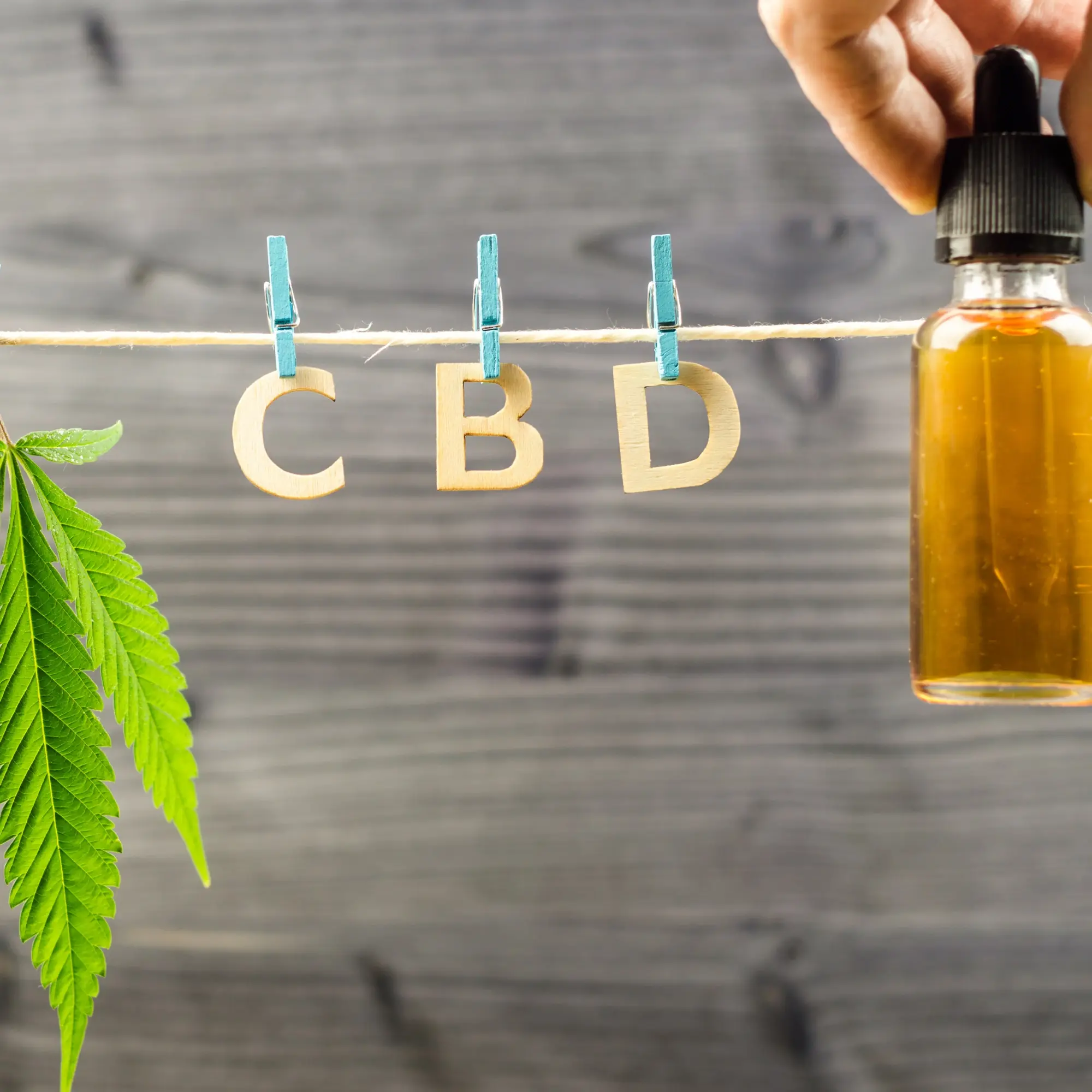 CBD vs. Delta 8