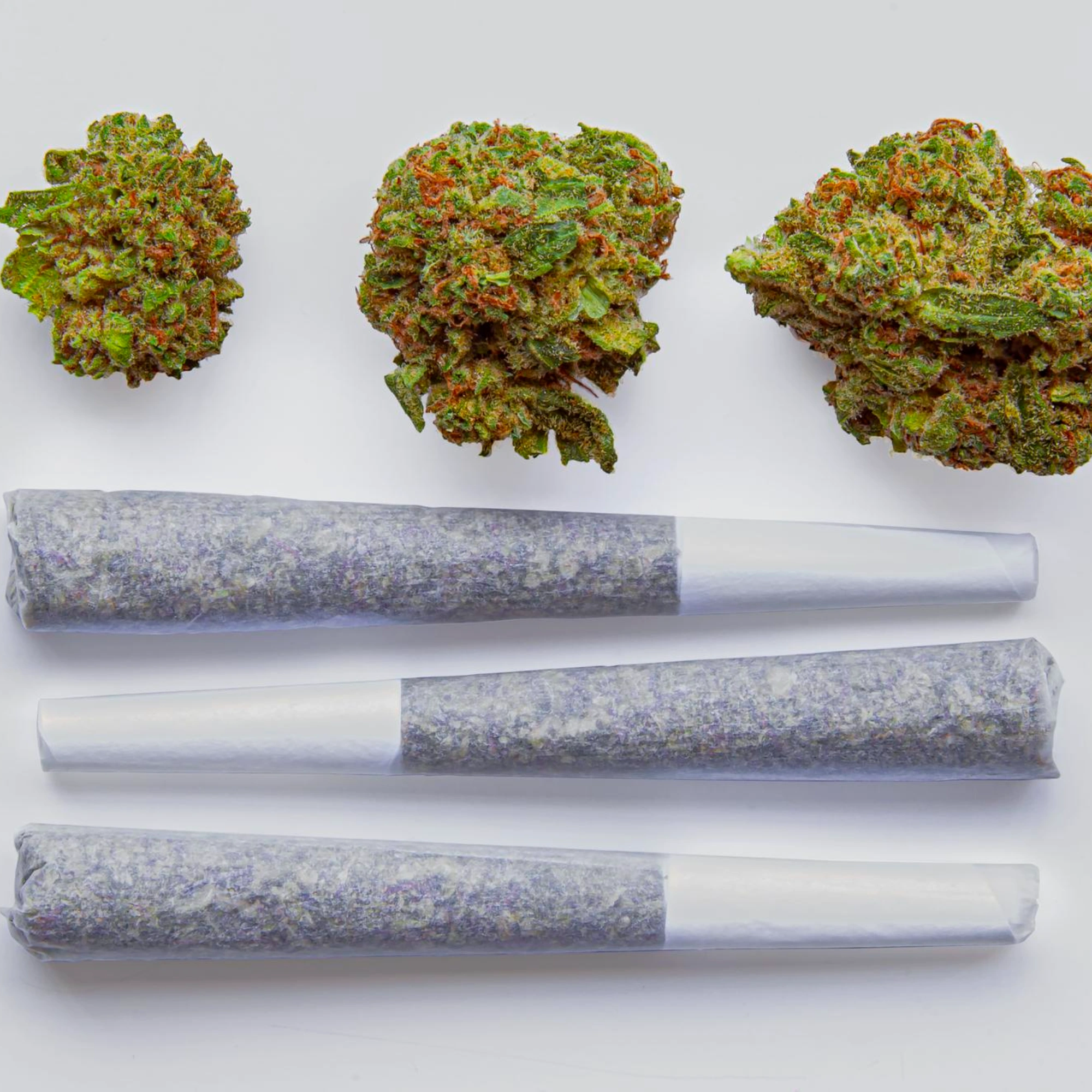 infused vs non-infused pre-roll