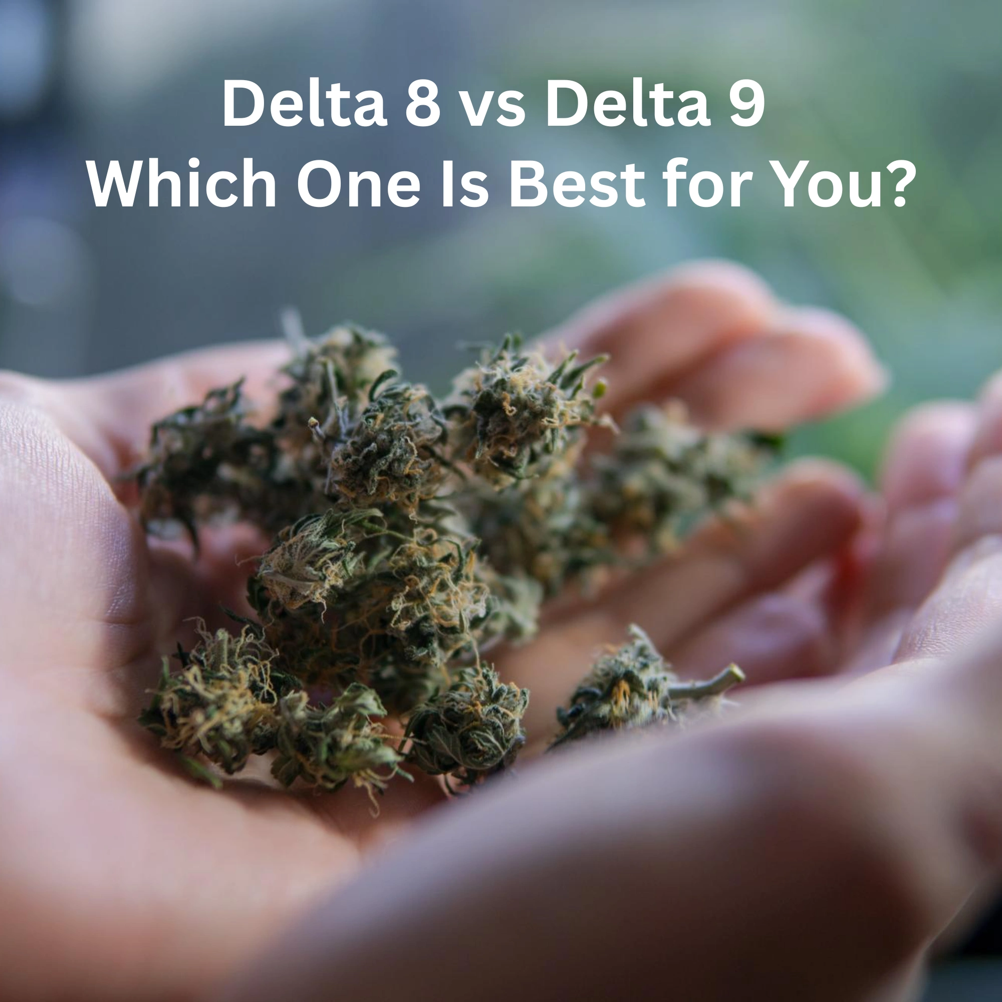Delta 8 vs Delta 9